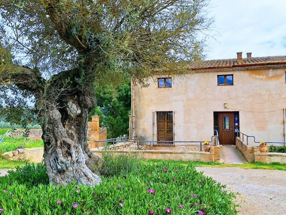 Erhvervsejendom i Benissanet, Tarragona - foto 2
